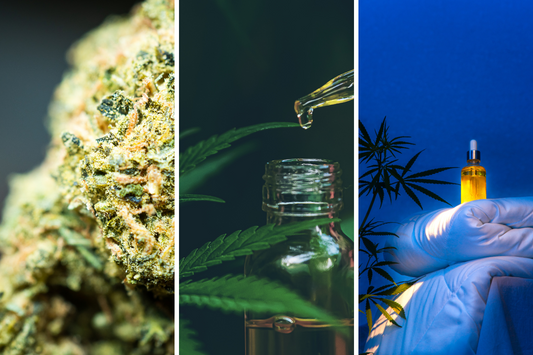 CBD, THC, and CBN: Understanding the Differences